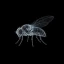 FLYBRAIN图标